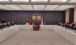 Ankara’da 52 bin sokak hayvanı! Bakımevleri yüzde 80 doldu!