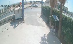 Şanlıurfa'da sokak köpeği zincirleme kazaya neden oldu!