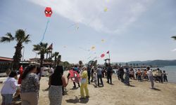 Akyaka'da 3. Engelsiz Uçurtma Şenliği yapıldı
