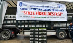 Ankara'da 9 bin çiftçiye sebze fidesi desteği