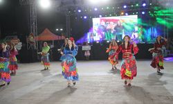 53. Nysa Çilek Festivali, Aydın'da başladı