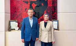 Ayşe Ateş’ten CHP lideri Özel’e yapılan saldırıya tepki