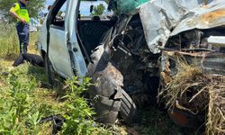Bursa'da otomobil zeytinliğe uçtu, 3 yaralı!