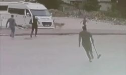 Başıboş köpekler çocuğa saldırdı!