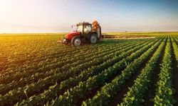 2027 üretim yılı Çiftçi Kayıt Sistemi başvuruları için süreç başladı