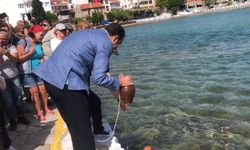 Datça’da 24. kez Akdeniz’den Ege’ye su taşındı!