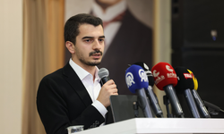 Başkan Güner: Çankaya’da sokak hayvanlarına kıyım yok