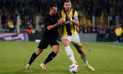 Hatayspor - Fenerbahçe maç özeti