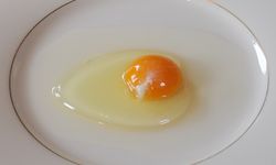 Yumurtanın etrafındaki beyaz kısım nedir? Yenir mi?