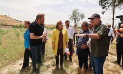 Karkamış Antik Kenti, bilim ve turizmin yeni merkezi oluyor