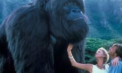 Koca Bebek Joe filminin konusu ne, oyuncuları kim?