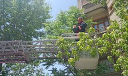 Malatya’da pencereye sıkışan yavru kedi kurtarıldı