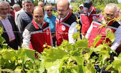 Don felaketinden etkilenen üreticilere destek sürüyor!
