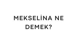 Mekselina ne demek? Hangi dilden geliyor?