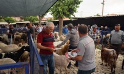 Kurban pazarları denetlendi, üreticilere dijital bilgilendirme yapıldı!
