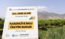 Antalya 'Narenciye Balı' ile marka oluyor!