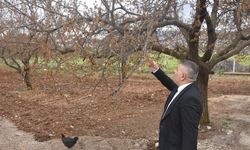 Sadıkoğlu "Destekler ne zaman verilecek"