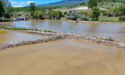 Çeltikçi Pirinci 40 yıl sonra yeniden toprakla