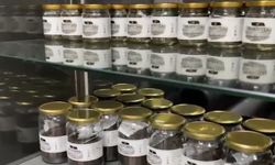 İlk probiyotikli çay Rize'de üretilmeye başladı!
