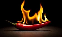 Acının ölçüsü: Scoville ölçeği nedir?