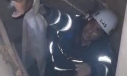 Havalandırma boşluğuna düşen kediler kurtarıldı!