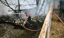 100 tavuk çıkan yangında telef oldu!