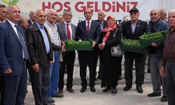 Yeşilyurt Belediyesi’nden çiftçilere 250 bin sebze fidesi