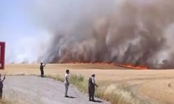 Diyarbakır’da tarla yangını: Bin dönüm buğday ve arpa kül oldu