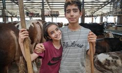 Kurban pazarının minik emekçileri!