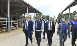 Ankara'da Kurban Bayramı hazırlıkları tam gaz devam ediyor!