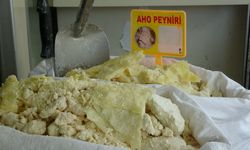 Aho peyniri coğrafi işaret yolunda!