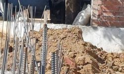 Sahibinden kaçan dana yaşlı kadını yaraladı!