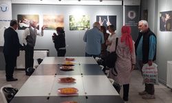 ‘Göz Göze’ sergisiyle doğanın mikro estetiği Ankara’da!