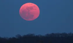 Çilek (pembe ay) dolunayı nedir, neden olur?