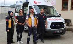 Deli bal az daha canından ediyordu: Arıcı ölümden döndü!