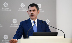 Bakan Kurum: Yangın bölgelerinde inşaat 1 ay içinde başlıyor