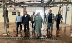Esenyurt’ta 38 dönümlük kurban pazarı kuruldu!