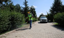 Kayseri'de belediye ekipleri sahada!