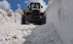 Kars'ın yüksek kesimlerinde karla mücadele!