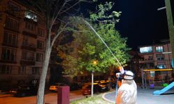Keçiören’de sineklere karşı ilaçlama başladı