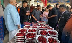 Kiraz tutkunları yarıştı: 10 dakikada 2.5 kilo kiraz yendi!