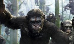 Maymunlar Cehennemi: Şafak Vakti filmi ne anlatıyor?