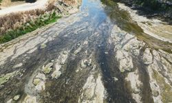 Tunca Nehri’ndeki kuraklık, Edirne’nin tarımını tehdit ediyor!