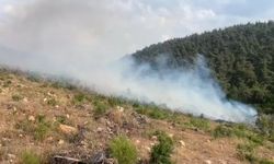 Bilecik’te aynı bölgede 15 gün içinde 2. orman yangını!