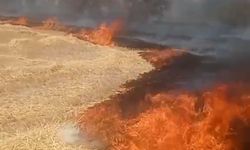 Ankara Beypazarı’nda elektrik kontağından anız yangını!