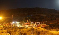 Evlilik teklifi sırasında atılan havai fişekler ağaçlık alanda yangın çıkardı!