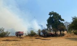 Çanakkale Ezine'deki orman yangını kontrol altına alındı!