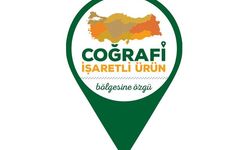 Avrupa Mut Zeytinyağı ve Kırkağaç Kavunu’nu tescilledi!