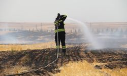 Eskişehir’de trafo yangını: 50 dönümlük arazi yandı!