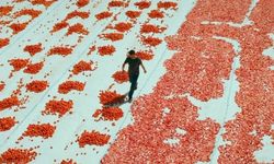 Hemme’nin Öldüğü Günlerden Biri filmi nerede çekildi?